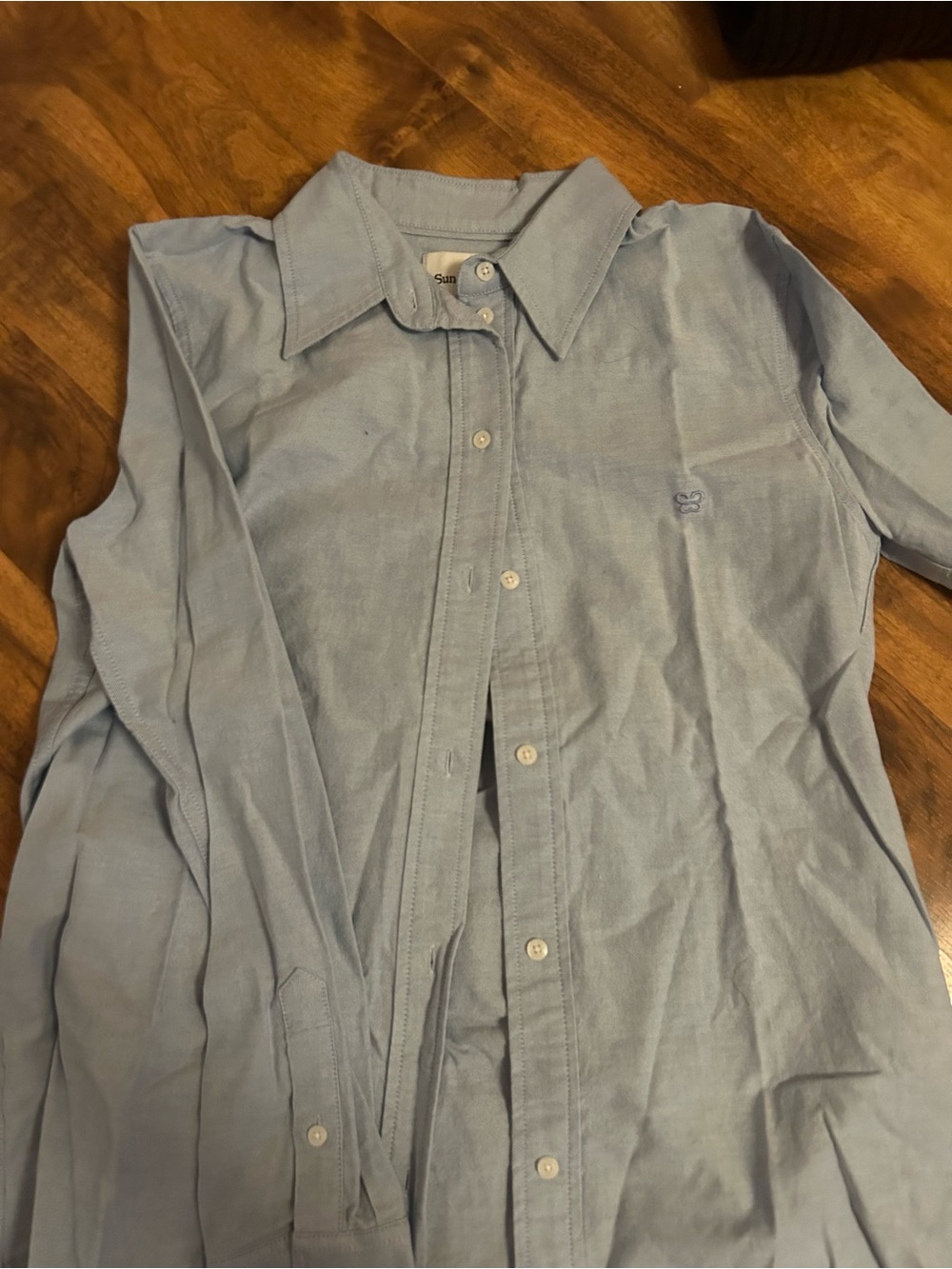 Aritzia Sunday Best Pale Blue Button-Front Shirt